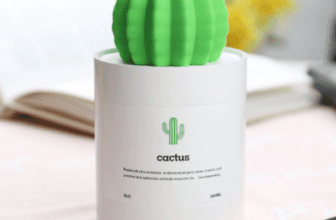 Humidificador de cactus / plantas