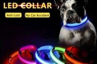 Collares para perros