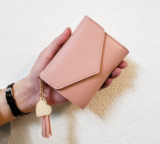 Carteras (distintos tipos)